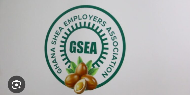 Ghana Loses Millions from Raw Shea Nuts Exports 1 8da47fb9 790d 444e bf35 c91921549636
