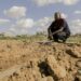 Only 3% of Gaza’s Cropland Remains Accessible and Undamaged, UN Warns 14 A farmer working and watering damaged agricultural land amidst widespread destruction in the Gaza Strip.
