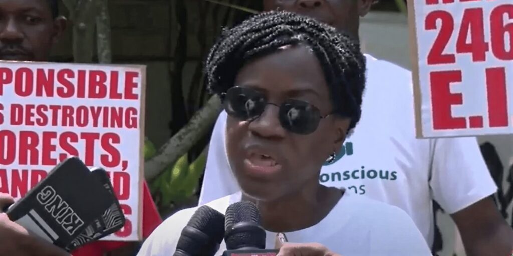 Eco-Conscious Coordinator Calls For Stronger Oversight Of Mining Activities 2 Awula Serwaa 1 750x375 1
