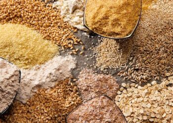 FAO: Global Food Prices Edge Higher Amid Climate Pressures 2 Cereals