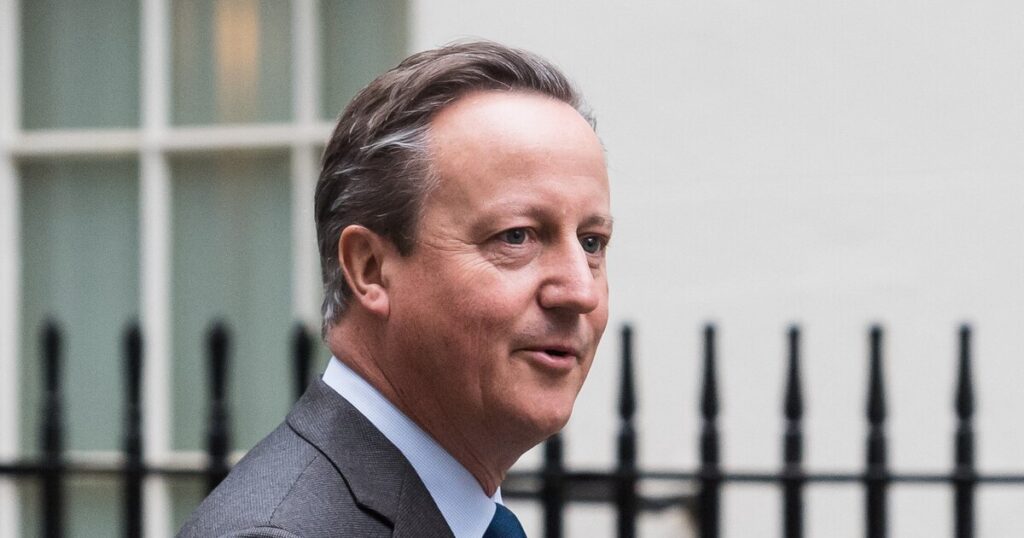 Cameron Urged Sunak Not to Call 2024 Election Before Tory Rout, Book Reveals 6 David Cameron
