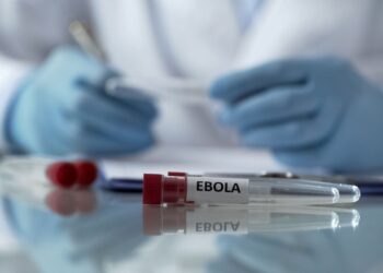 DR Congo Secures 70,000 Ebola Vaccine Doses as Outbreak Escalates 2 Bundibugyo Ebola Virus