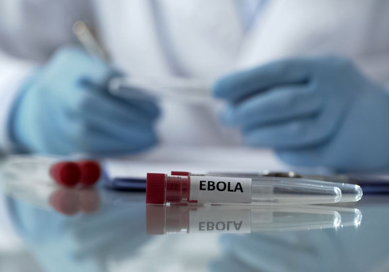 ‘No Lessons Learned’: Expert Warns DR Congo’s Ebola Outbreak Mirrors Past Failures 2 EBOLA 1 1