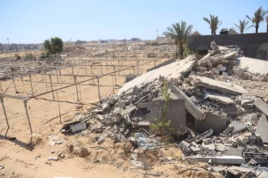 Only 3% of Gaza’s Cropland Remains Accessible and Undamaged, UN Warns 2 GAZA 1