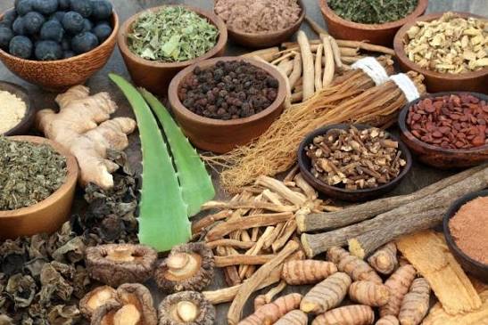 Ghana's Herbal Medicine System Suffers From Parallel Practice, Not Integration - Dr Donkor 4 Herbal Medicine