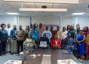 Eswatini and Ghana Energy Commission Team