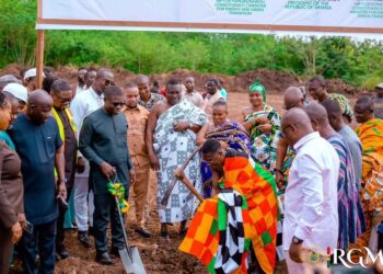 Sod cutting for the project