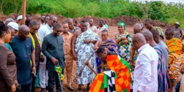 Sod cutting for the project