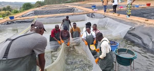 Fisheries Commission Equips Fish Farmers to Boost Commercial Tilapia Production 3 IMG 4857