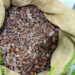 Made-In-Ghana Dried Cocoa Beans