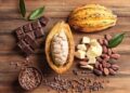 West Africa Grows 70% of the World's Cocoa, yet Earns Just 6% of Chocolate Value
