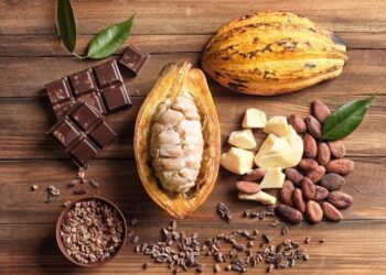 Ghana Places 4th In Cocoa Bean Exports to Europe, Fitch Says 8 West Africa Grows 70% of the World's Cocoa, yet Earns Just 6% of Chocolate Value