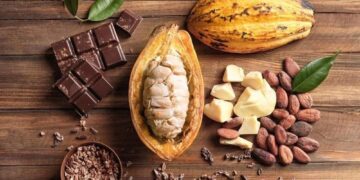 West Africa Grows 70% of the World's Cocoa, yet Earns Just 6% of Chocolate Value