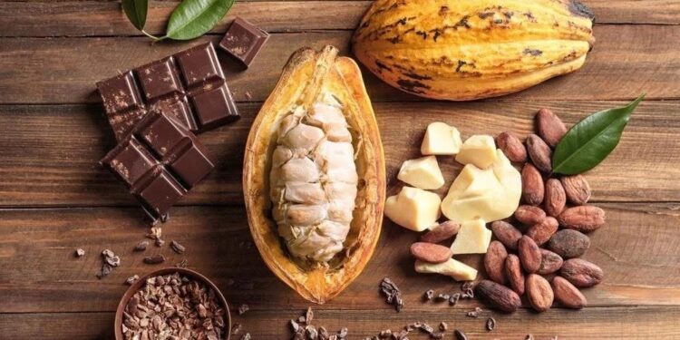 West Africa Grows 70% of the World's Cocoa, yet Earns Just 6% of Chocolate Value