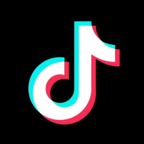 Disney and TikTok Partner to Bring Fan Videos to Disney+ 2 IMG 6527