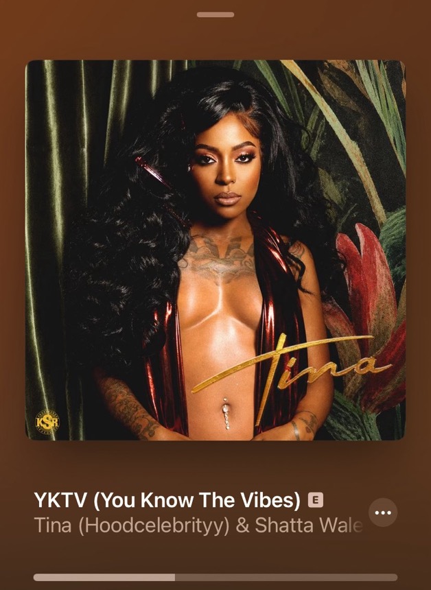 Tina Releases New Album TINA Featuring Stonebwoy and Shatta Wale 3 IMG 6914