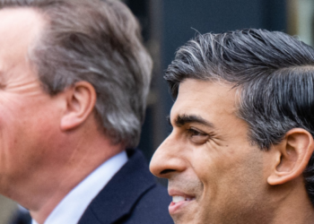 David Cameron and Rishi Sunak