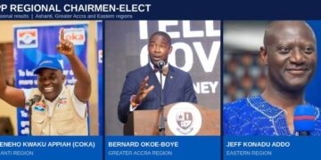 NPP Top 3 Regional Chairman Elected