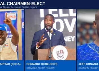 NPP Top 3 Regional Chairman elected