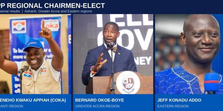 NPP Top 3 Regional Chairman elected