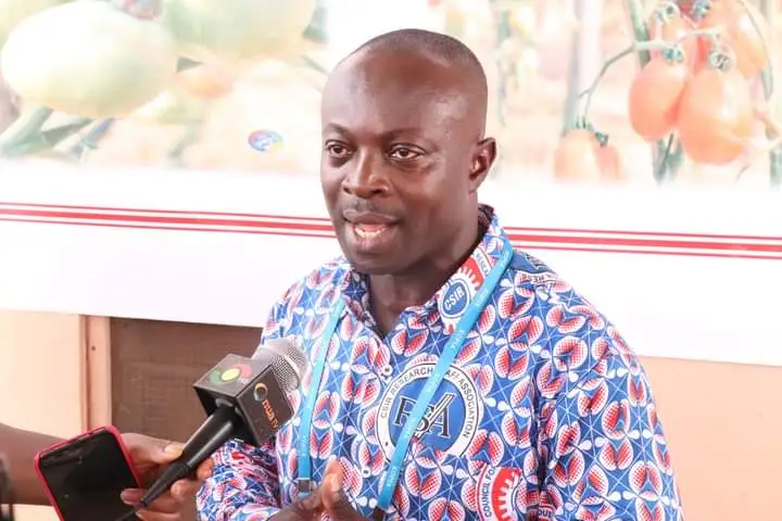 Ghana Loses US$168 Million Annually to Tomato Imports, CSIR 5 Dr Michael Kwabena Osei, a Principal Research Scientist at the CSIR Crop Research Institute