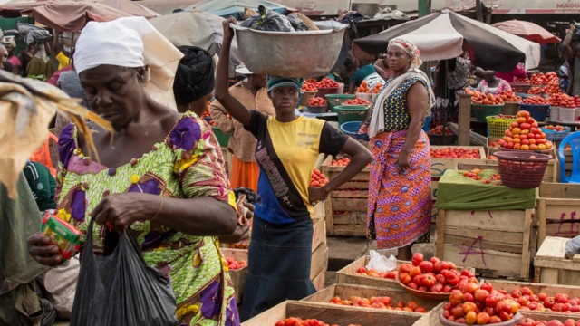 Ghana Loses US$168 Million Annually to Tomato Imports, CSIR 2 Tomatoes