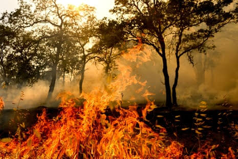 Record Heat, Floods and Wildfires Expose Rising Climate Risks 4 Wildfire