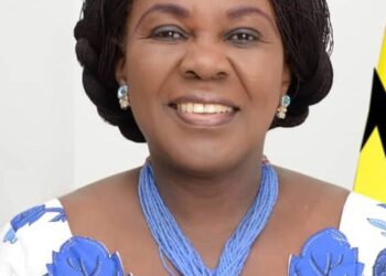Cecilia Abena Dapaah, Former Minister of Sanitation and Water Resources