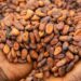 NPP Seeking Clarity On 70% Cocoa Pricing Clause In Bill — Communications Member 18 Pictorial Shot of Cocoa