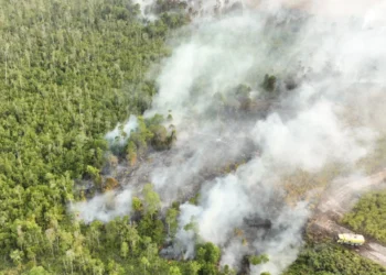Indonesia Targets Fire Starters As Smoke Chokes Borneo 3 download 5