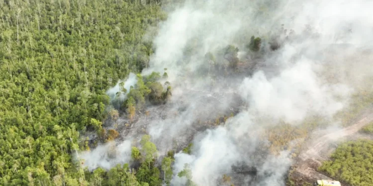 Indonesia Targets Fire Starters As Smoke Chokes Borneo 1 download 5