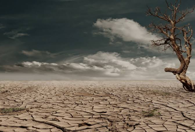 World Meteorological Organization Warns of ‘Supersized’ El Niño Threat 4 el nino 1 1