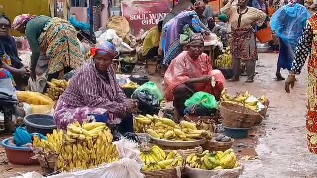 FDA Probes Viral Claims of Plantain Ripening Chemicals at Medina 2 image 141