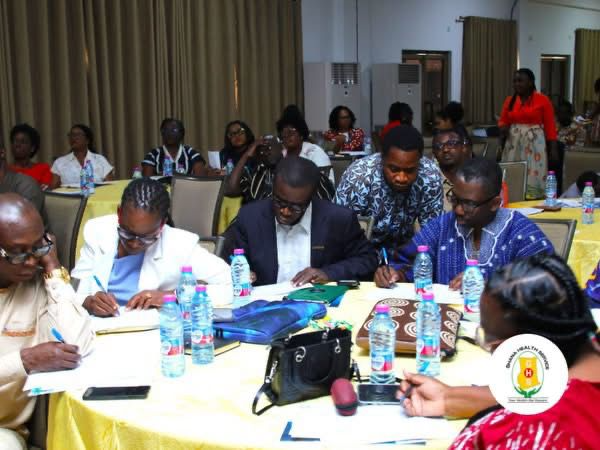 Ghana Reviews Response, Maps Out Measures to Tackle Mpox 2 image 316