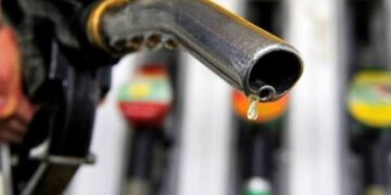 Oil