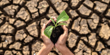 A degraded soil