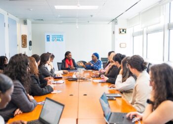 UNDP Africa Executives