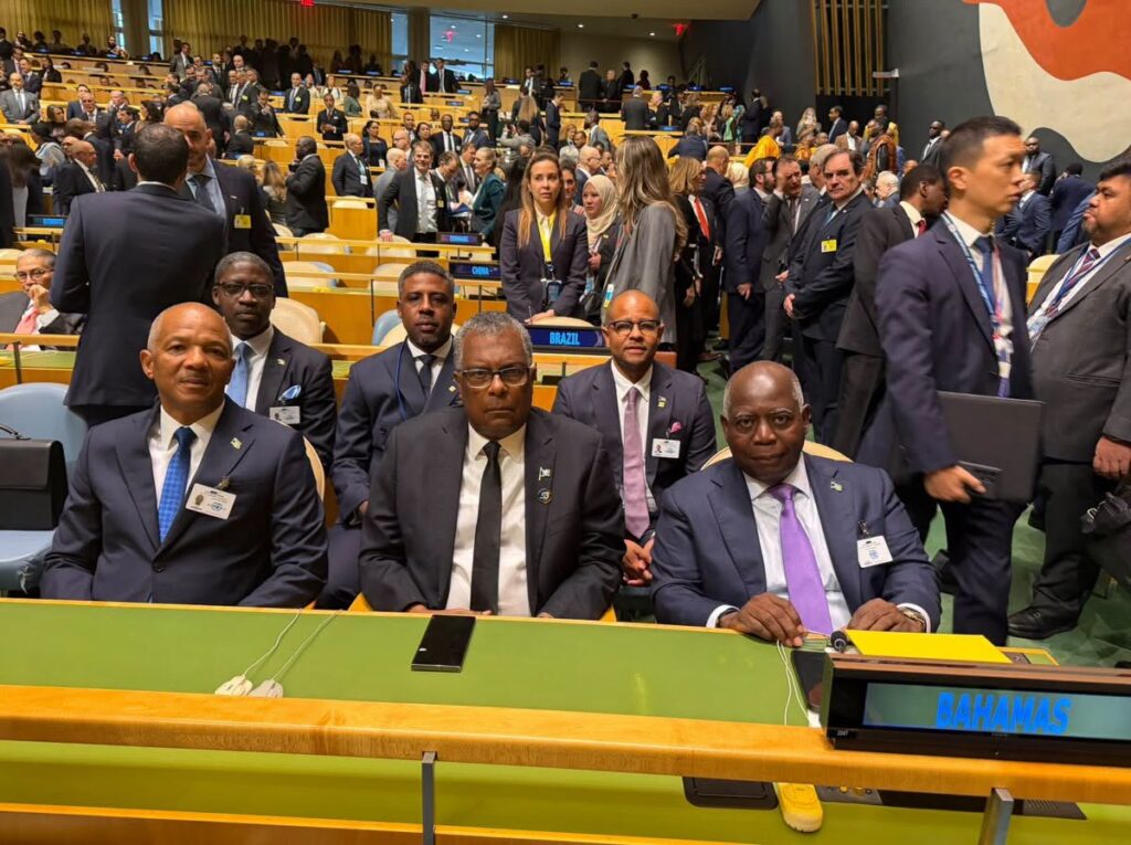 AMSG Adopts Continental Declaration to Guide Strategic Mineral Corridors 2 UNGA participants