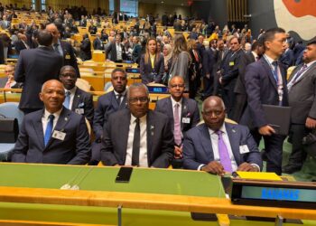 UNGA participants