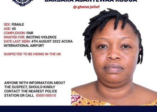 Account Still Posts After Arrest, Release Salomey Now — NPP Deputy Secretary 2 Barbara