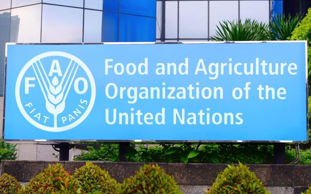 FAO Calls for Forests to Be Integrated Into Agrifood Systems 4 FAO