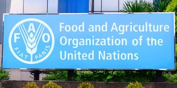 The Food and Agriculture Organization of the United Nations (FAO)
