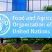 FAO Launches Sudan Livestock Vaccination Campaign 16 The Food and Agriculture Organization of the United Nations (FAO)