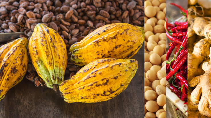 Ghana's Agro-Export Push Faces a Processing Gap 1 Ghana's Agro-Export product
