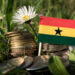 Ghanaian flag with stack of money coins with grass and flowers