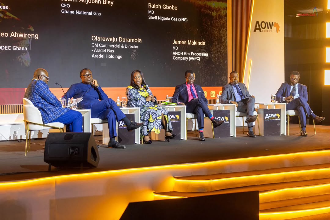 Judith Adjobah Blay, Chief Executive Officer, Ghana National Gas Company Limited as a Panelist at AOW26