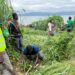 CREMA Members Planting Watershed Trees to Restore Degraded Banks of Lake Bosomtwe