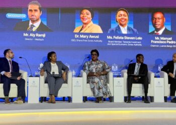GFZA CEO, Dr. Mary Awusi During the Panel on African SEZs at the AIM Congress 2026 in Dubai