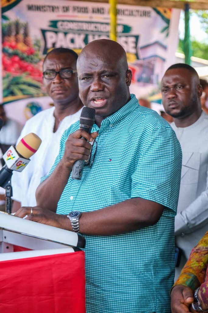 Government Launches Phase I of Major Tomato Production Initiative in Volta Region 3 IMG 5495