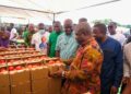 Hon. Eric Opoku, Minister of Food and Agriculture Inspecting the Freshly Produced Ghanaian Made Tomato in the Volta Region